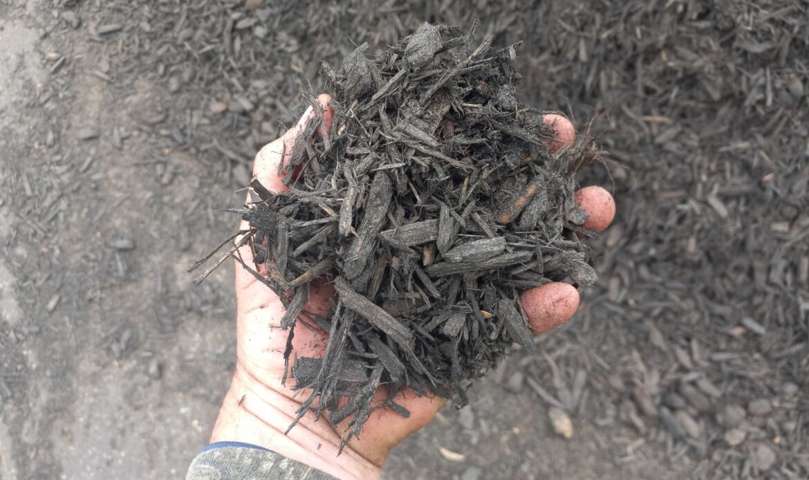 Sarasota, FL Atlas Organics