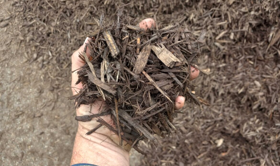 Sarasota, FL Atlas Organics